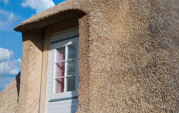 Pershall thatch roof disadvantages